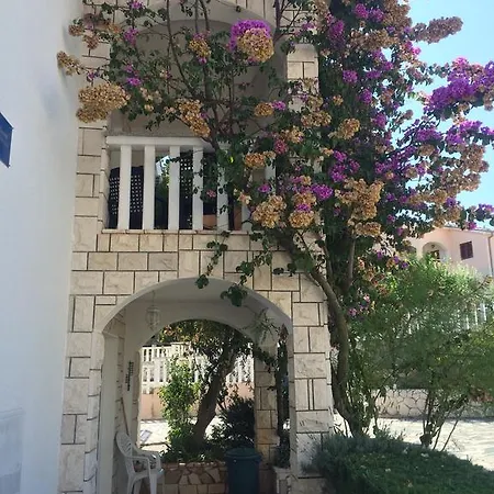Appartement Suz-ana *